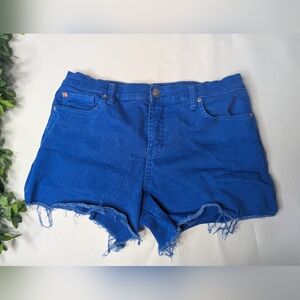 Hudson Gracie Mid Rise Cut Off Shorts Blue Size 30